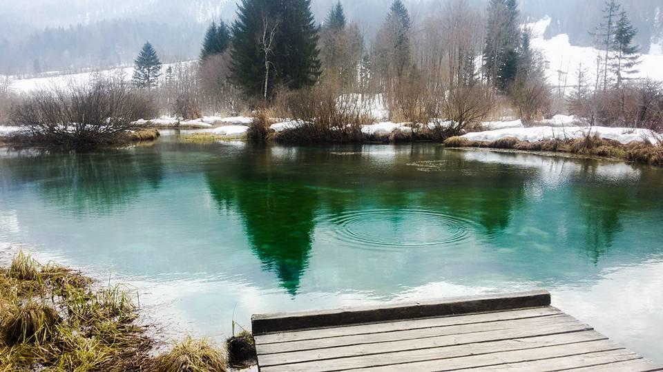 Alpine Spot Leilighet Kranjska Gora Eksteriør bilde