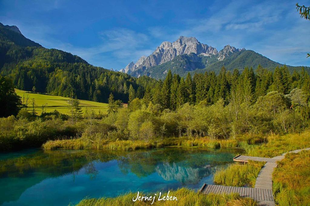 Alpine Spot Leilighet Kranjska Gora Eksteriør bilde