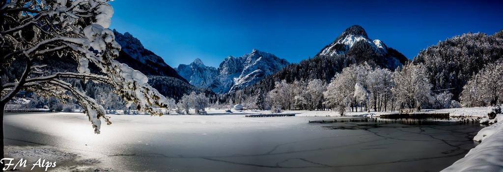 Alpine Spot Leilighet Kranjska Gora Eksteriør bilde